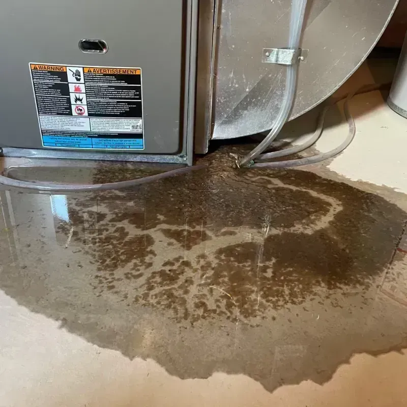 Appliance Leak Cleanup in Normandy, MO